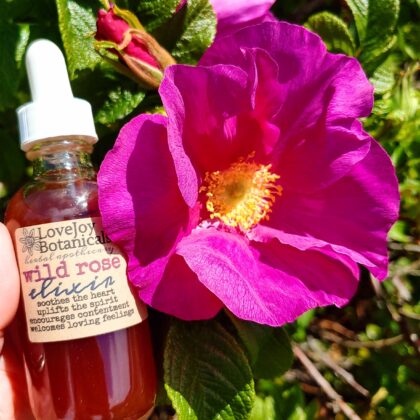 Wild Rose Elixir