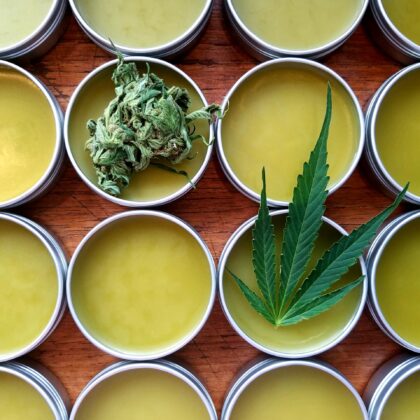 Whole Plant CBD Pain Heal Balm