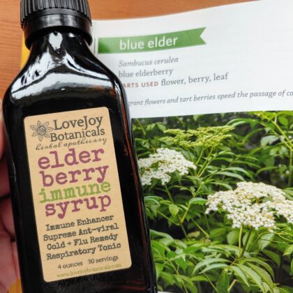 Elderberry Wellness Syrup